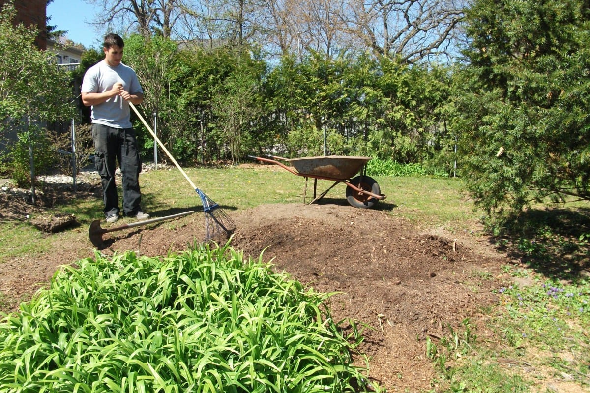 Gardening Work For March 5