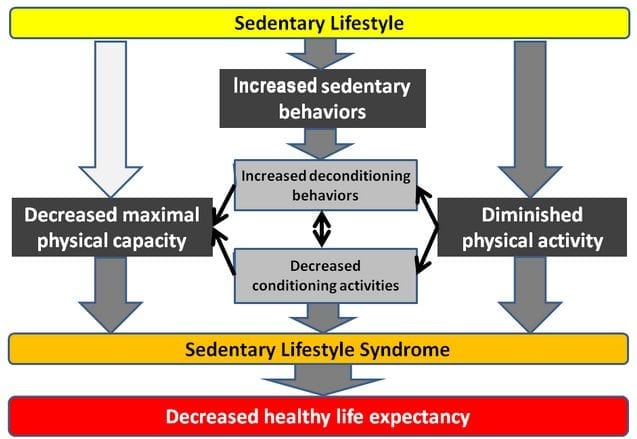 How To Fit Exercise In A Sedentary Lifestyle 3