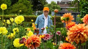 man wearing blue denim jacket standing on flower field