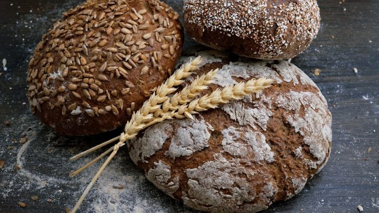 what is gluten